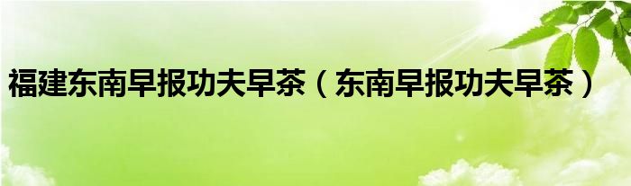 福建东南是哪里（福建东南早报功夫茶）