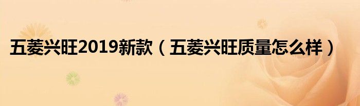五菱兴旺多少钱（五菱兴旺2009款）