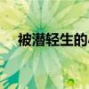 被潜轻生的小猫咬伤（被潜轻生的小猫）