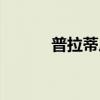 普拉蒂尼什么位置（普拉蒂尼）