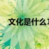 文化是什么1000字（文化是什么议论文）