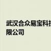 武汉合众易宝科技有限公司变更公司名称为抖音支付科技有限公司