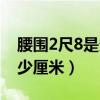 腰围2尺8是多少厘米的皮带（腰围2尺8是多少厘米）