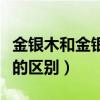 金银木和金银花有什么区别（金银木和金银花的区别）