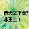 普天之下莫非王土的下一句是啥（普天之下莫非王土）