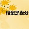 相聚是缘分感恩遇见的诗句（相聚是缘）
