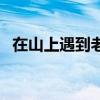 在山上遇到老虎怎么办（遇到老虎怎么办）