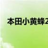 本田小黄蜂250cc（本田小黄蜂250报价）