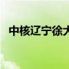 中核辽宁徐大堡核电4号机组穹顶吊装就位
