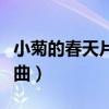 小菊的春天片头曲和片尾曲（小菊的春天片头曲）