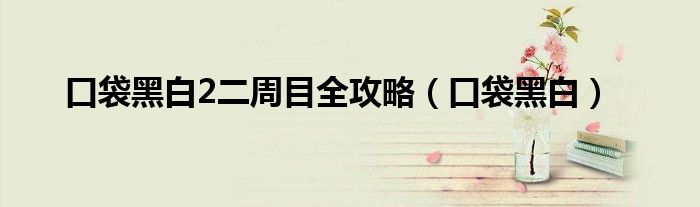 口袋黑白和黑白2是哪个游戏机（口袋黑白和黑白2）