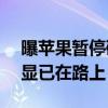 曝苹果暂停研发Vision Pro 2：更便宜的头显已在路上