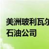 美洲玻利瓦尔联盟谴责美国出售委内瑞拉在美石油公司