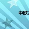 中欧主要车企举行闭门会议