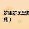 梦里梦见黑蛇是什么预兆（梦见黑蛇是什么预兆）
