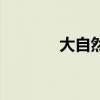 大自然棕垫（大自然棕床垫）