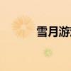 雪月游戏网（雪月刷七钻软件）