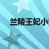 兰陵王妃小说郑翎版本（兰陵王妃小说）