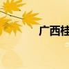 广西桂林市发布洪水红色预警