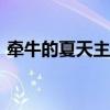 牵牛的夏天主题曲MV（牵牛的夏天主题曲）