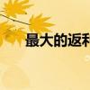 最大的返利网站排行榜（最大返利网）