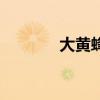 大黄蜂改装包（大黄蜂改装）