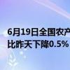 6月19日全国农产品批发市场猪肉平均价格为24.67元/公斤 比昨天下降0.5%