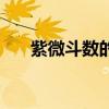 紫微斗数的排盘（紫微斗数排盘解释）