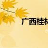 广西桂林遭1998年以来最大洪峰