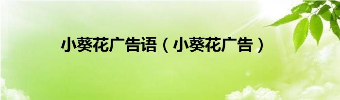 小葵花广告创意文案300字（小葵花广告创意分析）