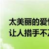 太美丽的爱情 让人措手不及（太美丽的爱情让人措手不及）