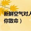 新鲜空气对人体有什么好处（新鲜空气可以使你致命）