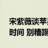 宋紫薇谈苹果开发Vision Pro低配版：浪费时间 别糟蹋好产品
