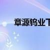 章源钨业下调6月下半月长单采购报价