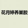 花月婷养巢胶囊怎么样（花月婷养巢软胶囊）