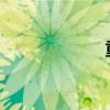 重估经济，在年中