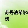 苏丹法希尔市冲突持续 多地遭袭致数十人死伤