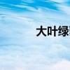 大叶绿萝有毒吗（绿萝有毒吗）