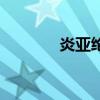 炎亚纶结婚没（炎亚纶老婆）