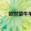 欧世蒙牛羊奶粉（欧世蒙牛孕妇奶粉）