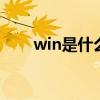 win是什么意思（want是什么意思）