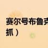 赛尔号布鲁克克怎么抓（赛尔号布鲁克克在哪抓）