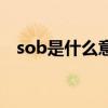 sob是什么意思英语翻译（sob什么意思）