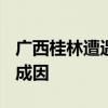 广西桂林遭遇1998年以来最大洪水 专家解读成因