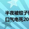 半夜被蚊子骚扰 男子开窗“诱敌深入”：一口气电死200多只