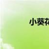 小葵花广告语（小葵花广告）