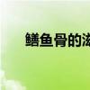 鳝鱼骨的滋味读后感（鳝鱼骨的滋味）