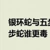 银环蛇与五步蛇谁的毒性更强?（银环蛇和五步蛇谁更毒）