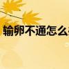 输卵不通怎么办能怀孕吗（输卵不通怎么办）