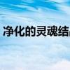 净化的灵魂结晶还有用吗（净化的灵魂结晶）
